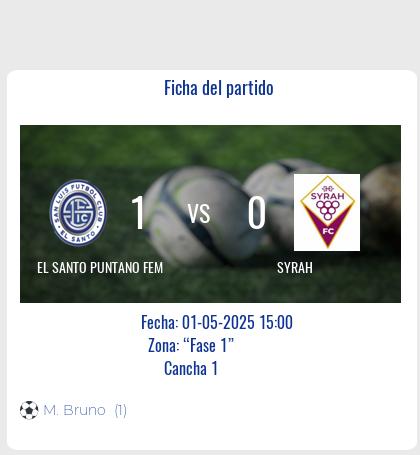 Fecha 14: Finalizo el partido de EL SANTO PUNTANO FEM VS SYRAH