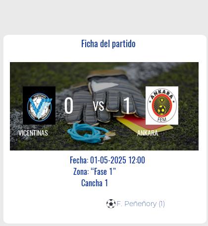 Fecha 14: Finalizo el partido de VICENTINAS VS ANKARA