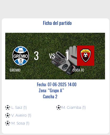 Fecha 12: Finalizo el partido de GREMIO VS COCA FC