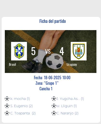 Fecha 5: Finalizo el partido de Brasil VS Uruguay